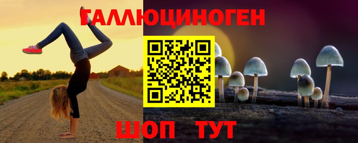 Галлюциногенные грибы MAGIC MUSHROOMS  Вход с VPN  Галлюциногенные грибы мицелий  Хасавюрт 